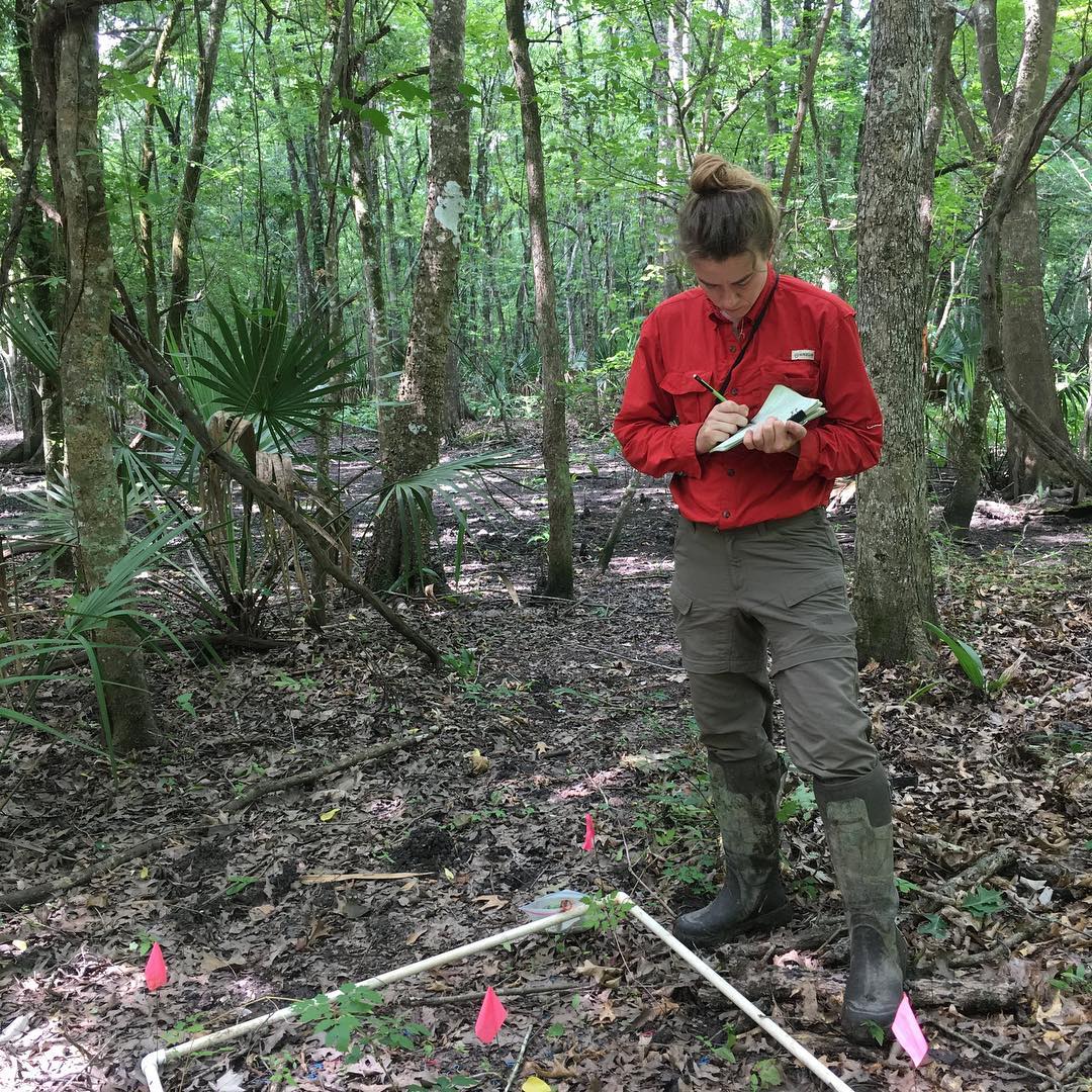 Whitney Kroschel taking notes in a field