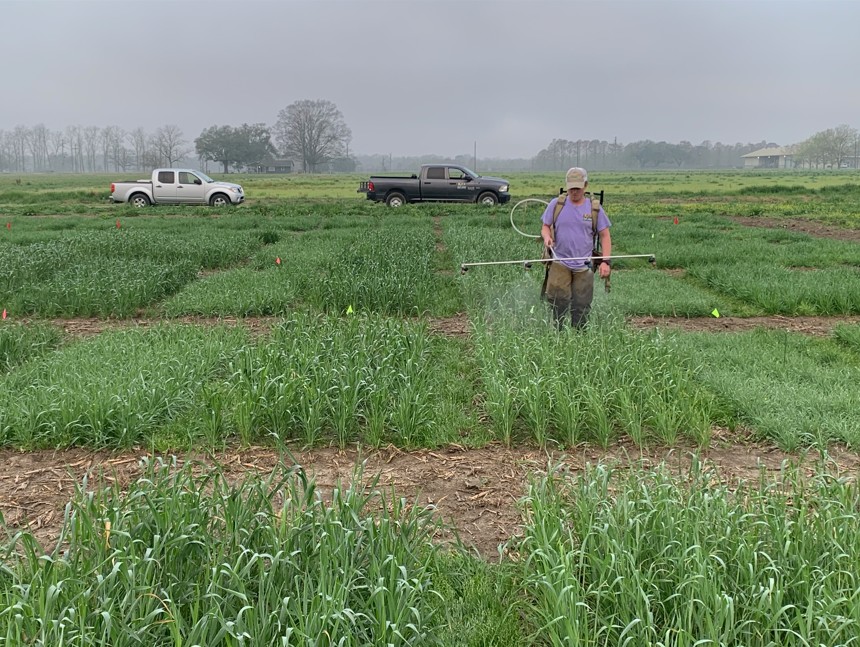 students practicing spraying seed