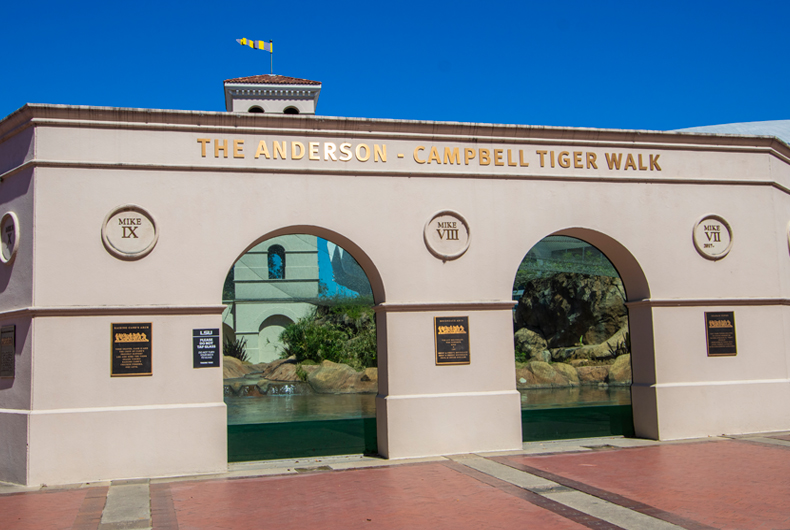 Mike the Tiger Habitat