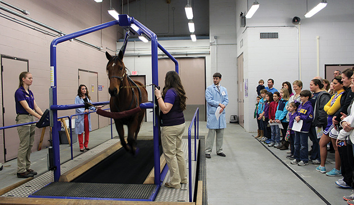 lsu vet school