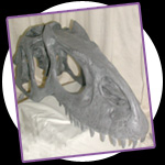 photo: allosaurus