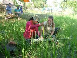 students from the US and Bangladesh work together to measure the surface elevation change within poldered lands using an RSET