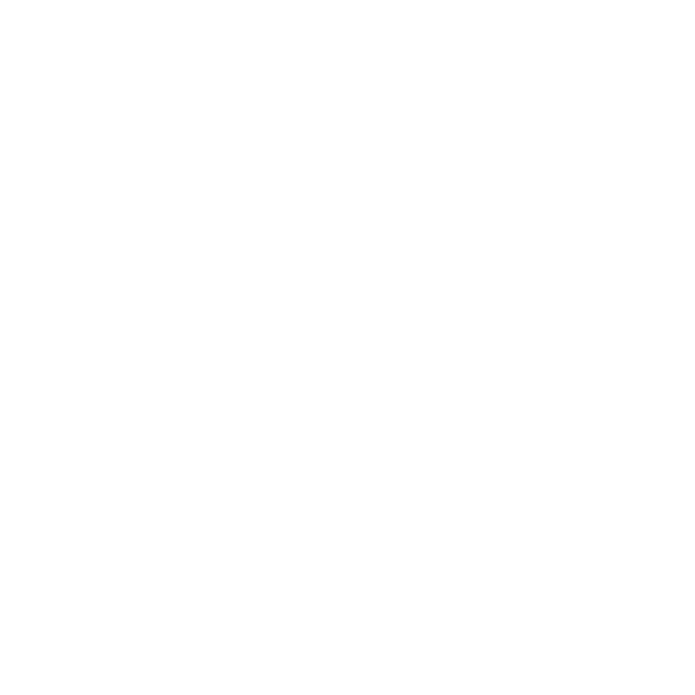 WordPress Logo